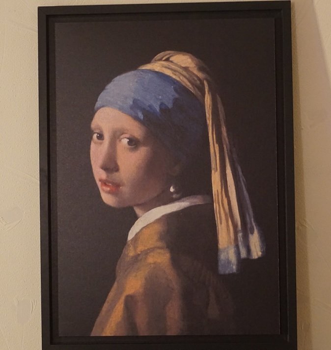 Vermeer-1.jpg.21a6b2b8c6e62243cba6f62639f3344c.jpg