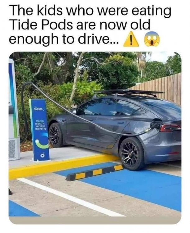 image.thumb.jpeg.d5e24e8ad69f85d93e04f94ebc38a4b1.jpeg