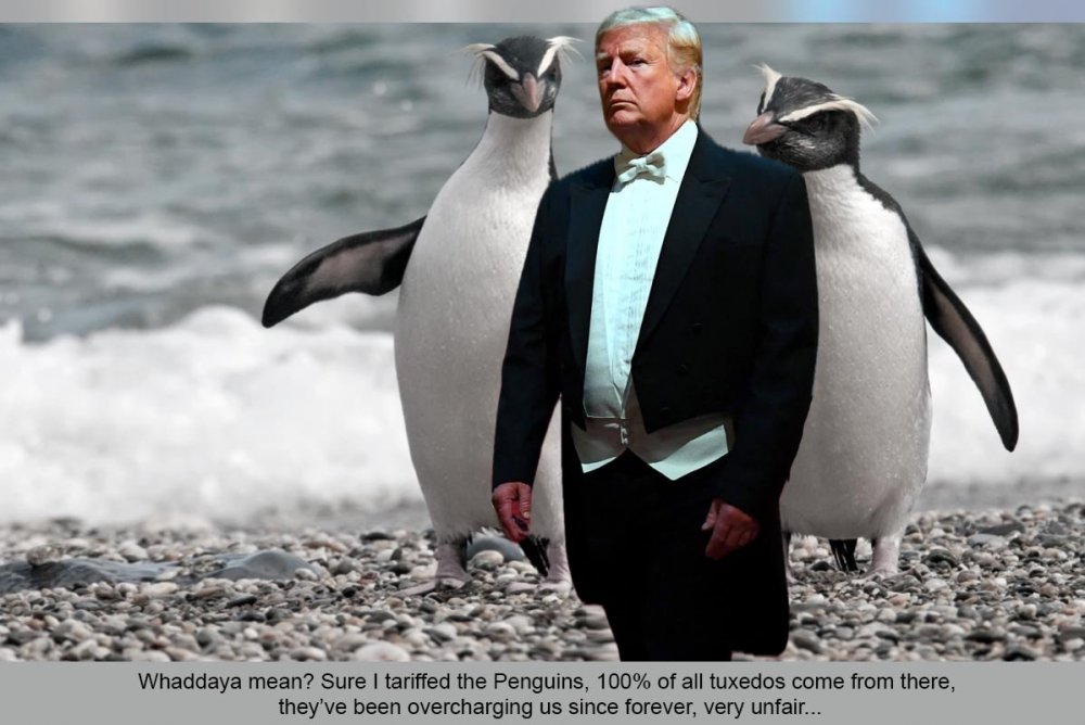 image.thumb.jpeg.4b64366fdd8da2889f55f1c8e3966c06.jpeg