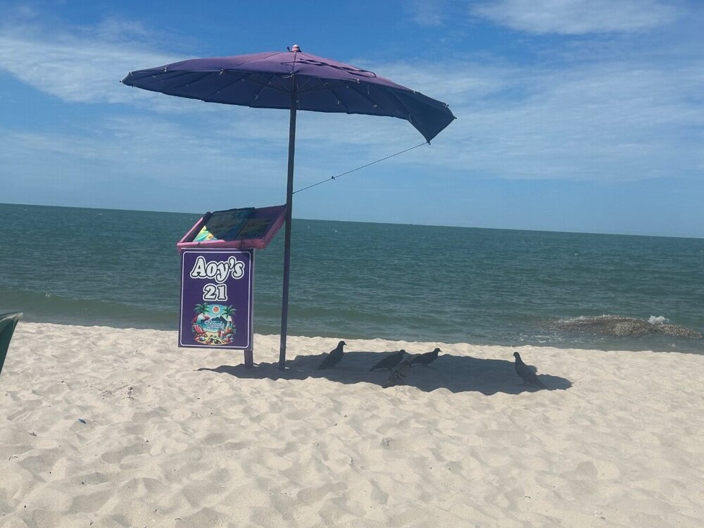 IMG_3435.jpeg